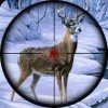 Sniper Animal Shooting 3D（动物终极猎人