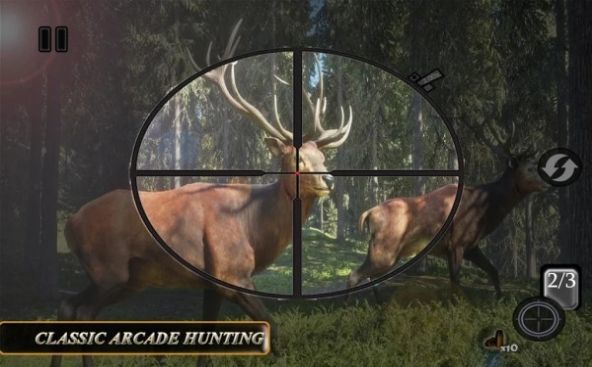 Sniper Animal Shooting 3D（动物终极猎人