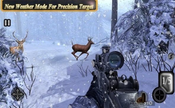 Sniper Animal Shooting 3D（动物终极猎人