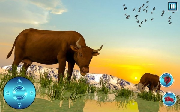 wild angry bull attack simulator（愤怒公牛攻击模拟器）