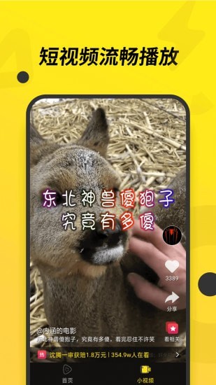 哈密瓜影视一触即发