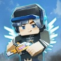 Blocknite（我的世界大逃杀）