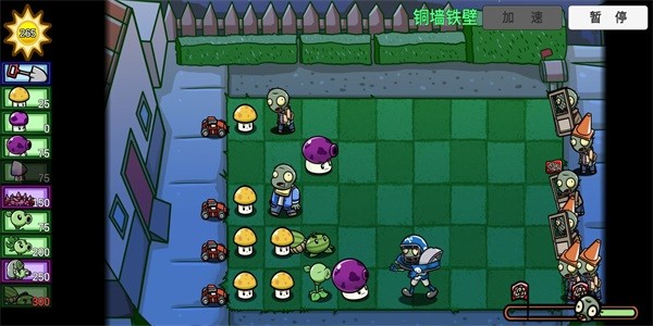 PVZ_BT（植物大战僵尸可爱版）