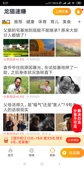 龙猫速赚