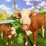 wild angry bull attack simulator（愤怒公牛攻击模拟器）