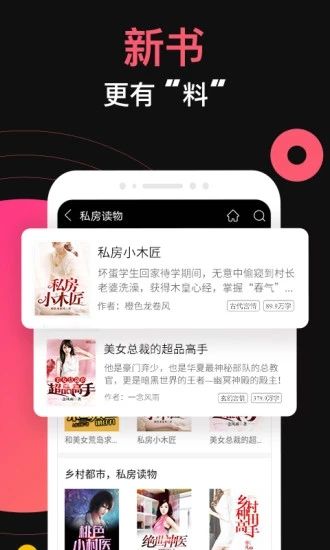 入盟小说
