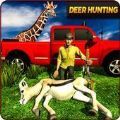 WildLifeHunterAfricanlionSafariShooting（野生动物）