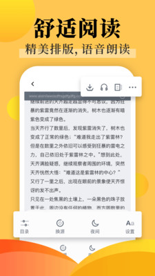小说王