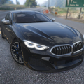 Car Driving Games Simulator（物理汽车公路竞技）