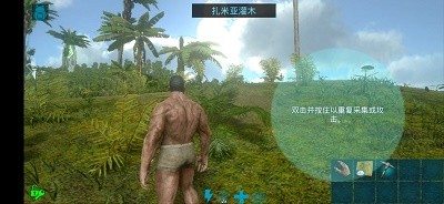 ARK: Survival Evolved（方舟生存进化中国版）