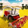 Tractor Dash（大农场拖拉机冲刺）