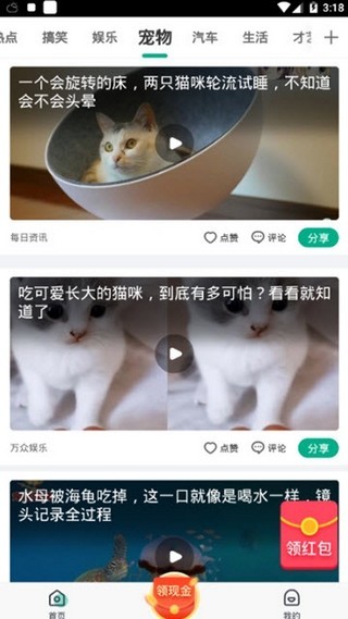 魔视
