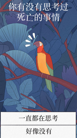 bird alone（孤独的鹦鹉）