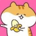 동물 인형샵（超萌玩具店）
