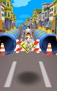 Dog Run - Puppy Racing（狗跑小狗赛跑）