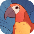 bird alone（孤独的鹦鹉）