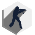 cs16client