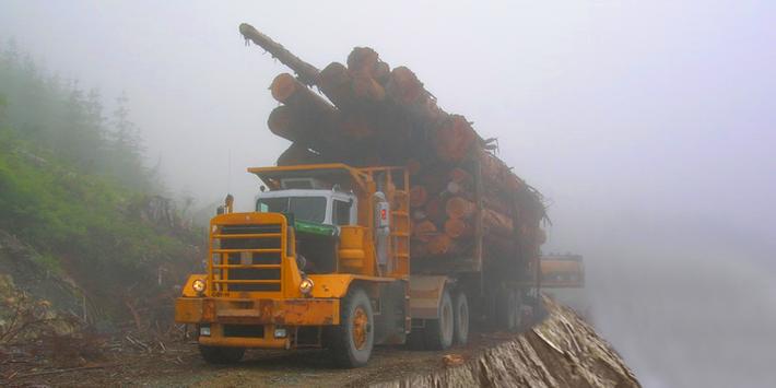 Heavy Logging Cargo Truck Transport（重型货车运输模拟）