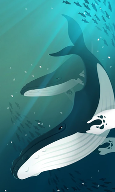深海水族馆五周年