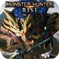 mhw otomo（怪物猎人rise3.1）
