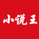 小说王
