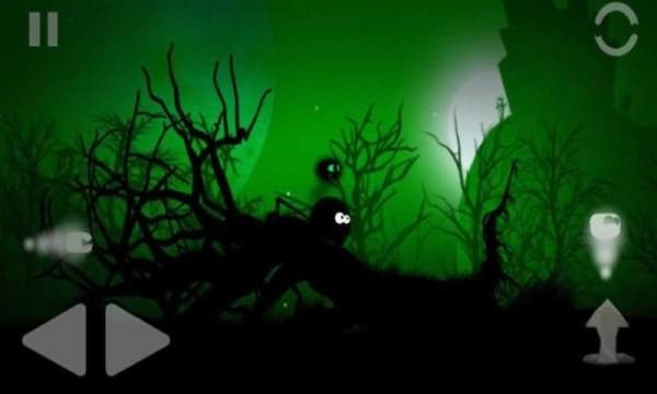Call Of The Forest（森林的召唤）