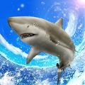SharkFishing（野生鲨鱼垂钓）