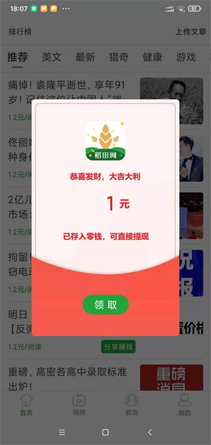 红芋网