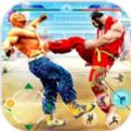 New Street Fighter - Ultimate （新街霸终极功夫）