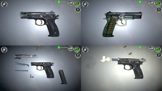 Weapon Field Strip（武器拆解）