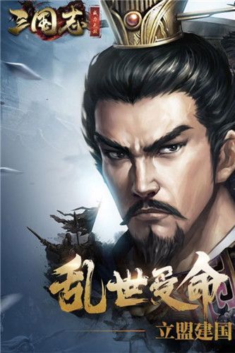 三国志威力无双版