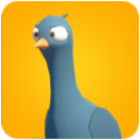 pigeonsattack（鸽子进攻）