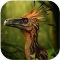 troodonsimulator（特罗顿模拟器）