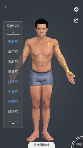 经脉宝