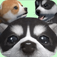 CutePocketPuppy3DPart2（可爱的口袋小狗3D）