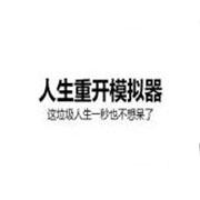 人生重开模拟器手机版最新版
