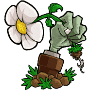 植物大战僵尸gthr版