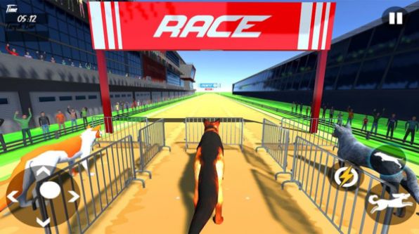dograce3d（狗狗赛跑3D）
