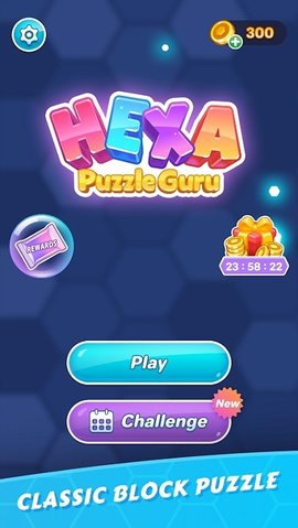 Hexa Guru(六边形拼图大师)
