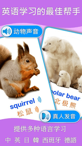 动物学习卡pro