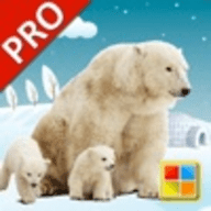 动物学习卡pro