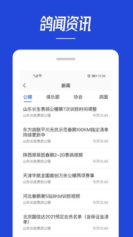青鸽网