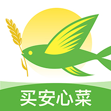 春播最新版