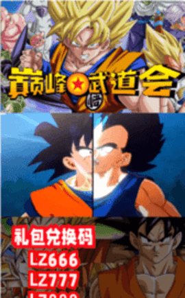巅峰武道会