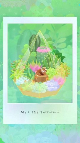 My Little Terrarium（我的水晶花园）