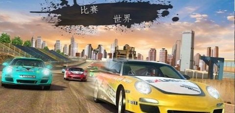 Rally Racer Fury 3D: Extreme Racing Game（拉力赛狂怒）