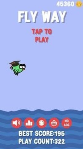 Fly Way（空中的飞鸟）
