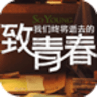 致青春动态壁纸