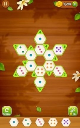 Number Puzzle Hexa（六角数字拼图）