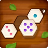 Number Puzzle Hexa（六角数字拼图）